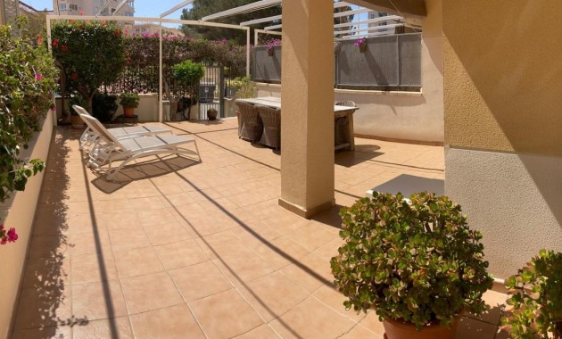 Herverkoop - Appartement / flat -
Guardamar del Segura - CENTRO