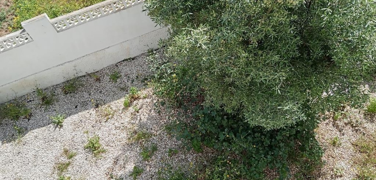 Venta - Villa -
Torrevieja - Los Balcones - Los Altos del Edén