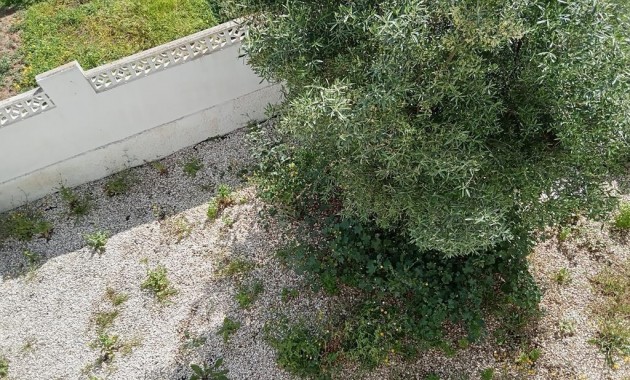 Venta - Villa -
Torrevieja - Los Balcones - Los Altos del Edén