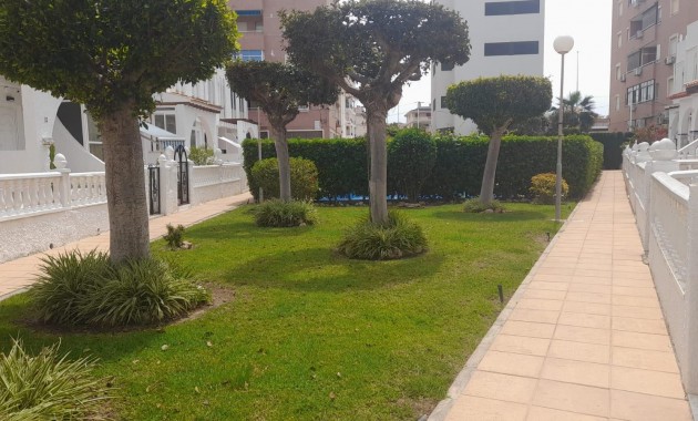Herverkoop - Bungalow -
Torrevieja - torrevieja