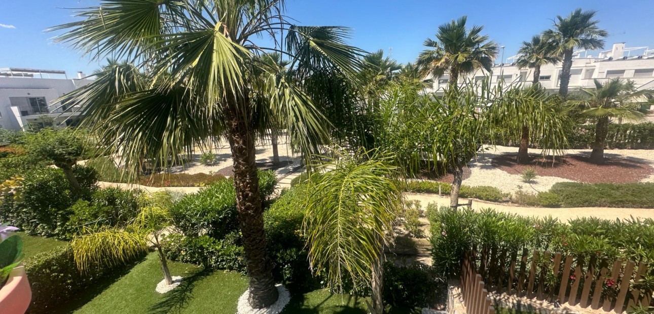 Venta - Apartamento / piso -
Orihuela - Entre Naranjos Vistabella