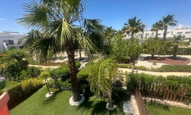 Venta - Apartamento / piso -
Orihuela - Entre Naranjos Vistabella