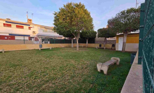 Herverkoop - Appartement / flat -
Torrevieja - Playa de los locos