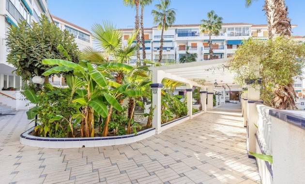 Venta - Apartamento / piso -
Torrevieja - La Mata