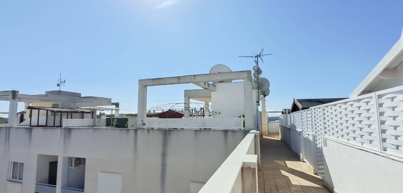 Venta - Ático -
Almoradi - Centro urbano 2