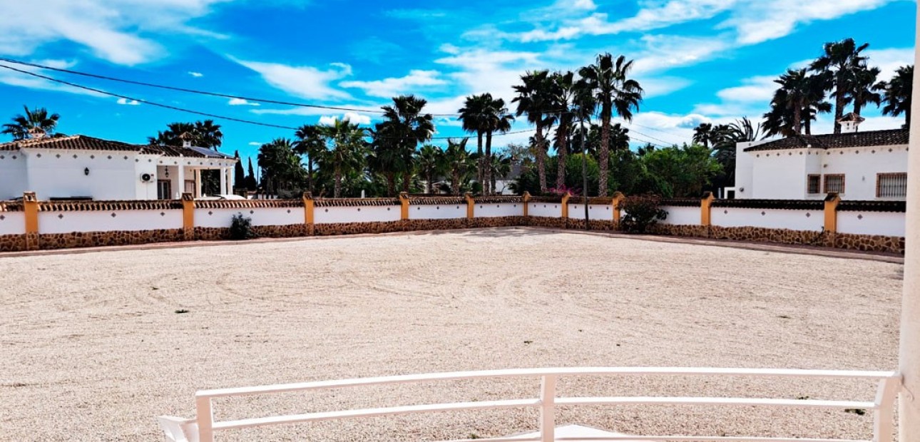 Venta - Country Property -
Catral - Catral - Country