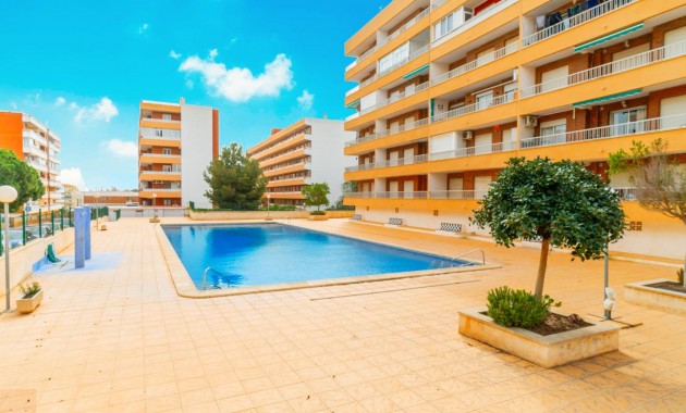 Sale - Apartment / flat -
Torrevieja - Rocio del mar