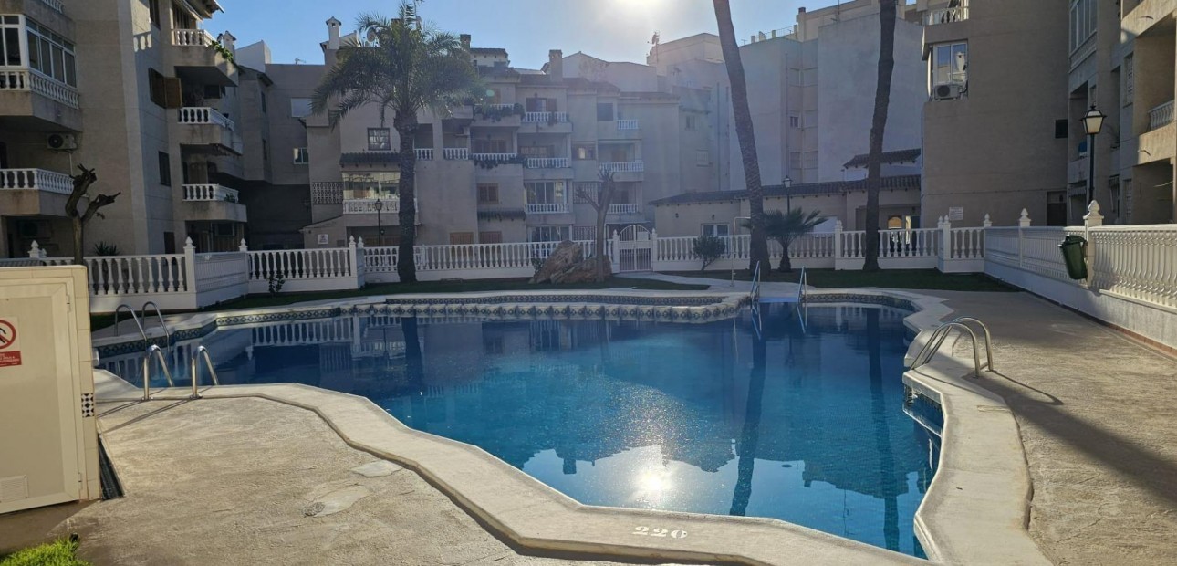 Venta - Apartamento / piso -
Torrevieja - Estacion de autobuses