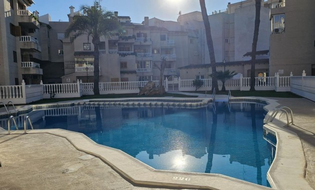 Venta - Apartamento / piso -
Torrevieja - Estacion de autobuses