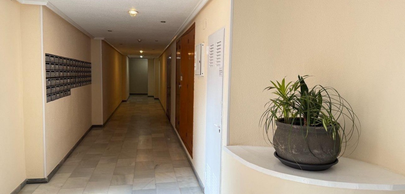 Sale - Penthouse -
Torrevieja - Acequion