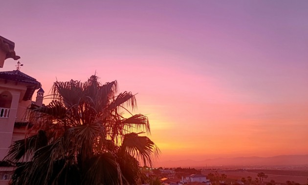 Venta - Villa -
Algorfa - Lomas de Juliana