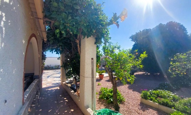 Sale - Masia -
La marina - La Marina