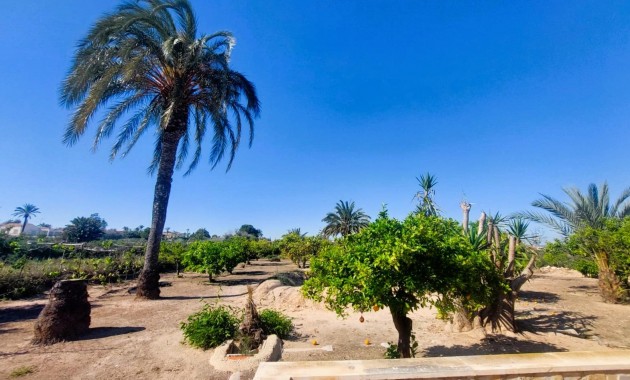 Sale - Masia -
La marina - La Marina