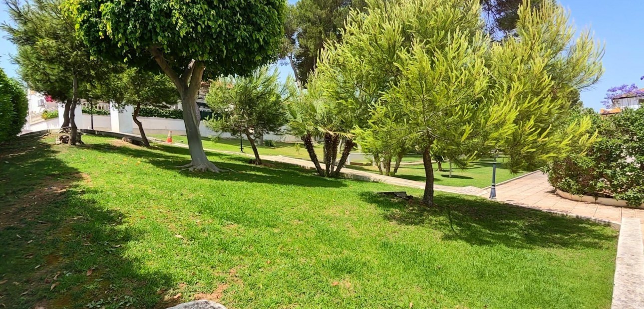 Venta - Apartamento / piso -
Pilar de la Horadada - Mil Palmeras