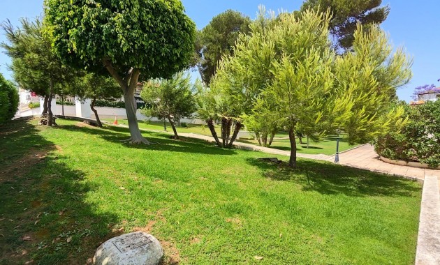 Venta - Apartamento / piso -
Pilar de la Horadada - Mil Palmeras