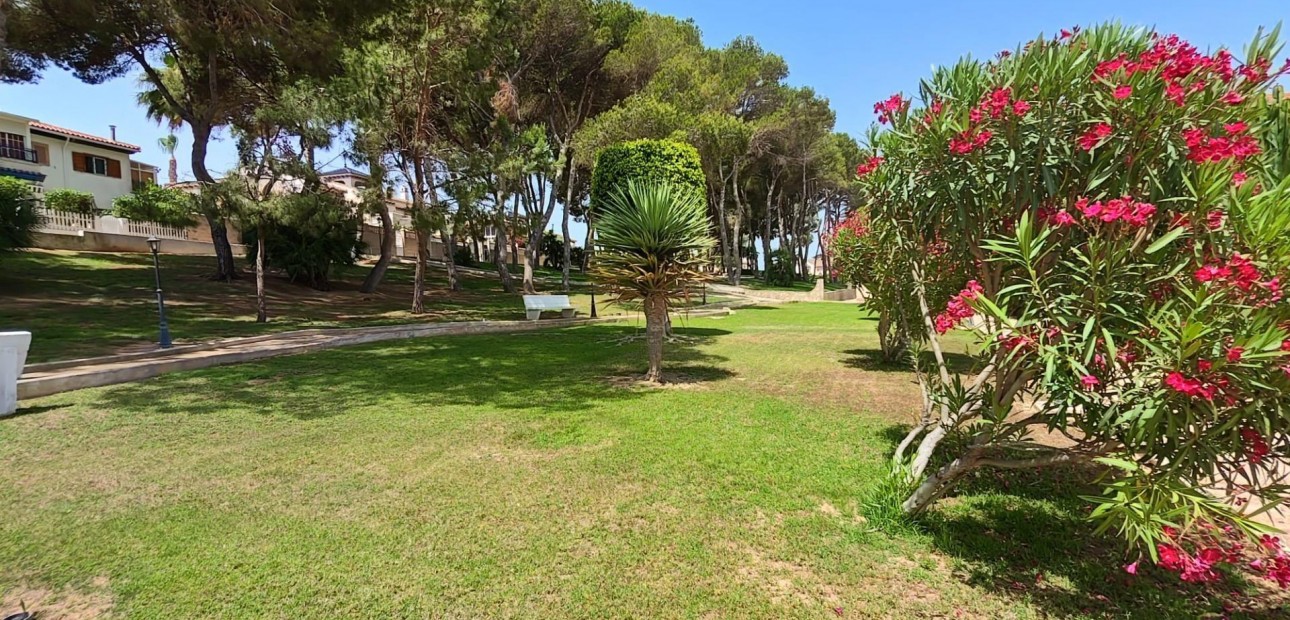 Venta - Apartamento / piso -
Pilar de la Horadada - Mil Palmeras