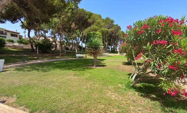 Venta - Apartamento / piso -
Pilar de la Horadada - Mil Palmeras
