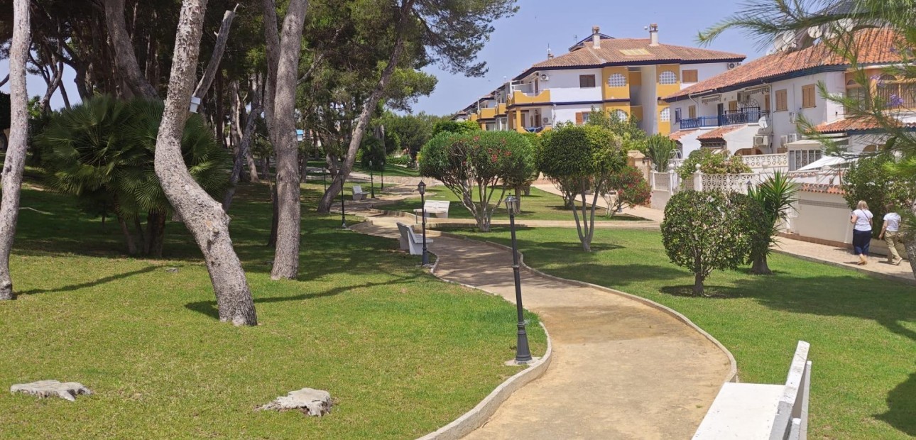Venta - Apartamento / piso -
Pilar de la Horadada - Mil Palmeras