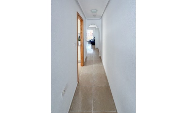 Alquiler a largo plazo - 1. Apartment / flat -
San Fulgencio
