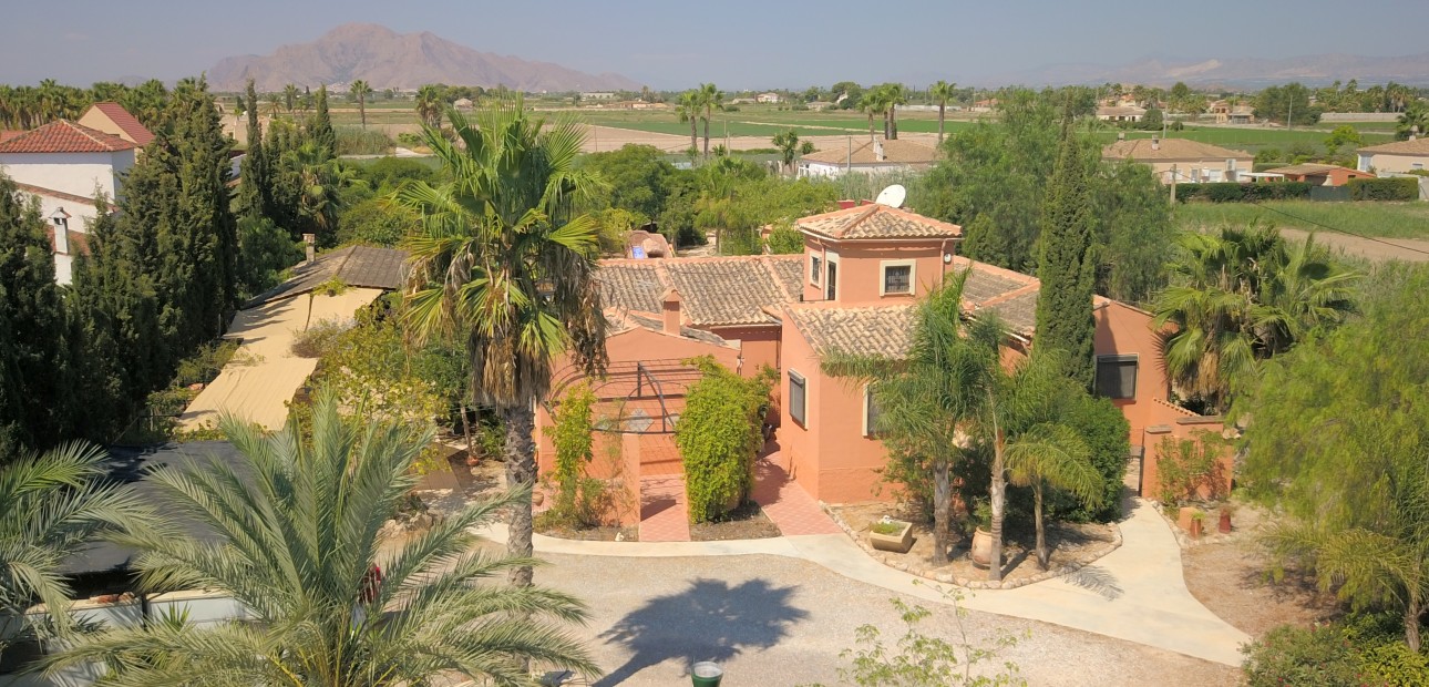 Venta - Country Property -
Catral - Catral - Country