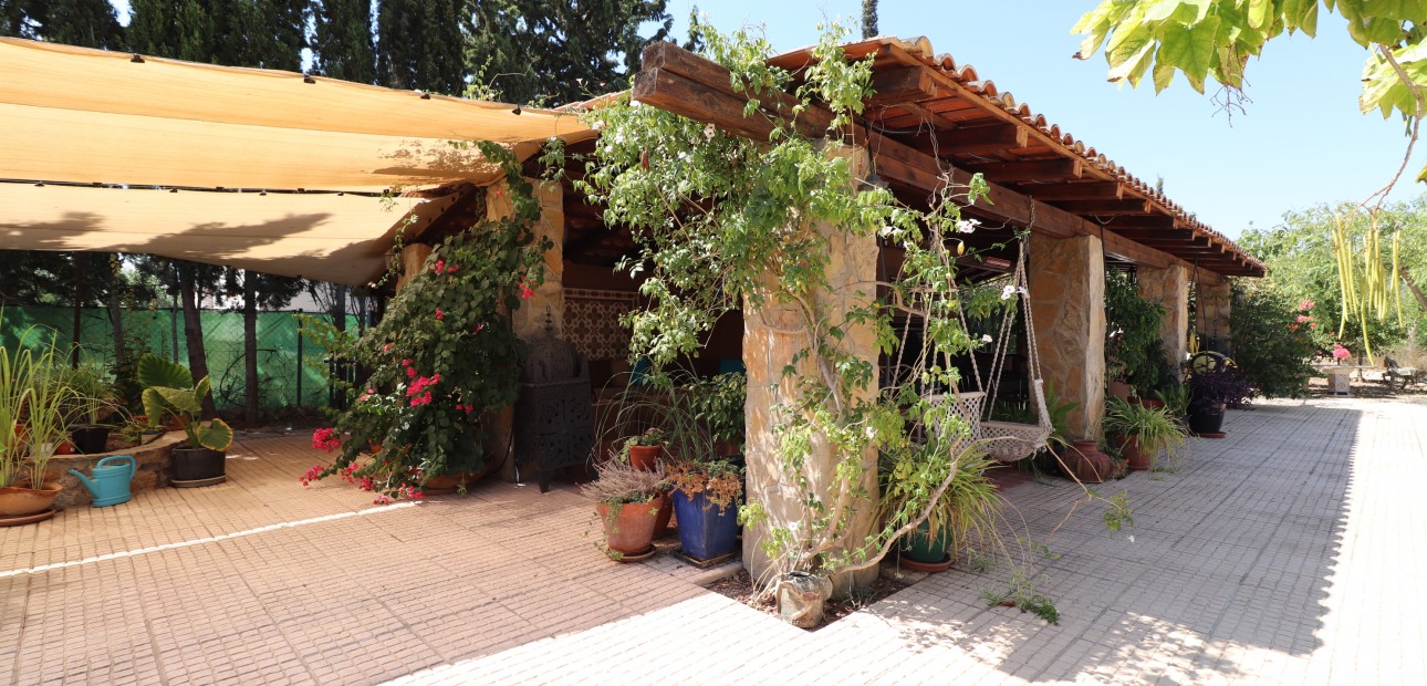 Venta - Country Property -
Catral - Catral - Country