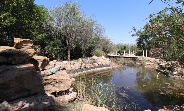 Venta - Country Property -
Catral - Catral - Country
