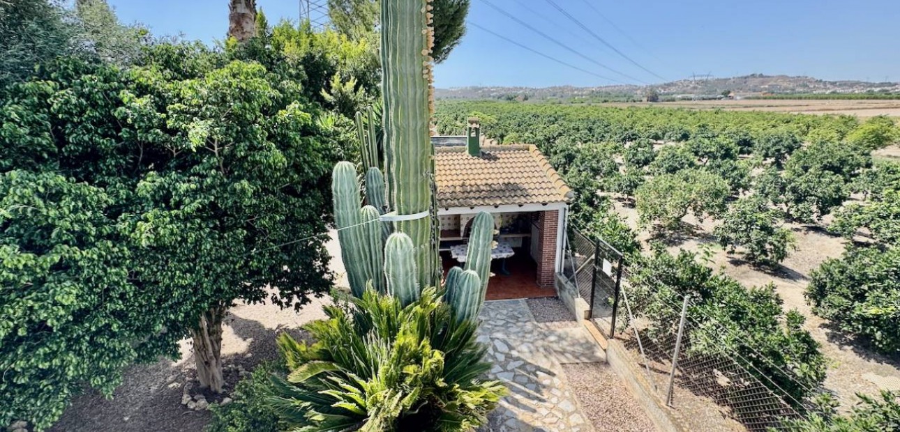 Herverkoop - Finca / Country Property -
Guardamar del Segura - Guardamar