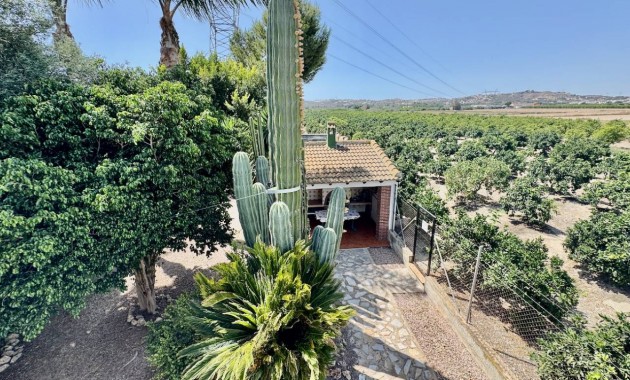 Herverkoop - Finca / Country Property -
Guardamar del Segura - Guardamar