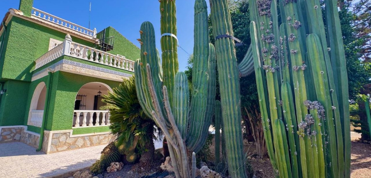 Herverkoop - Finca / Country Property -
Guardamar del Segura - Guardamar