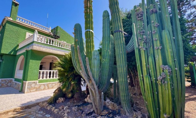 Herverkoop - Finca / Country Property -
Guardamar del Segura - Guardamar