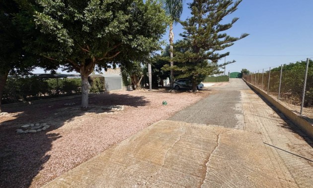 Herverkoop - Finca / Country Property -
Guardamar del Segura - Guardamar