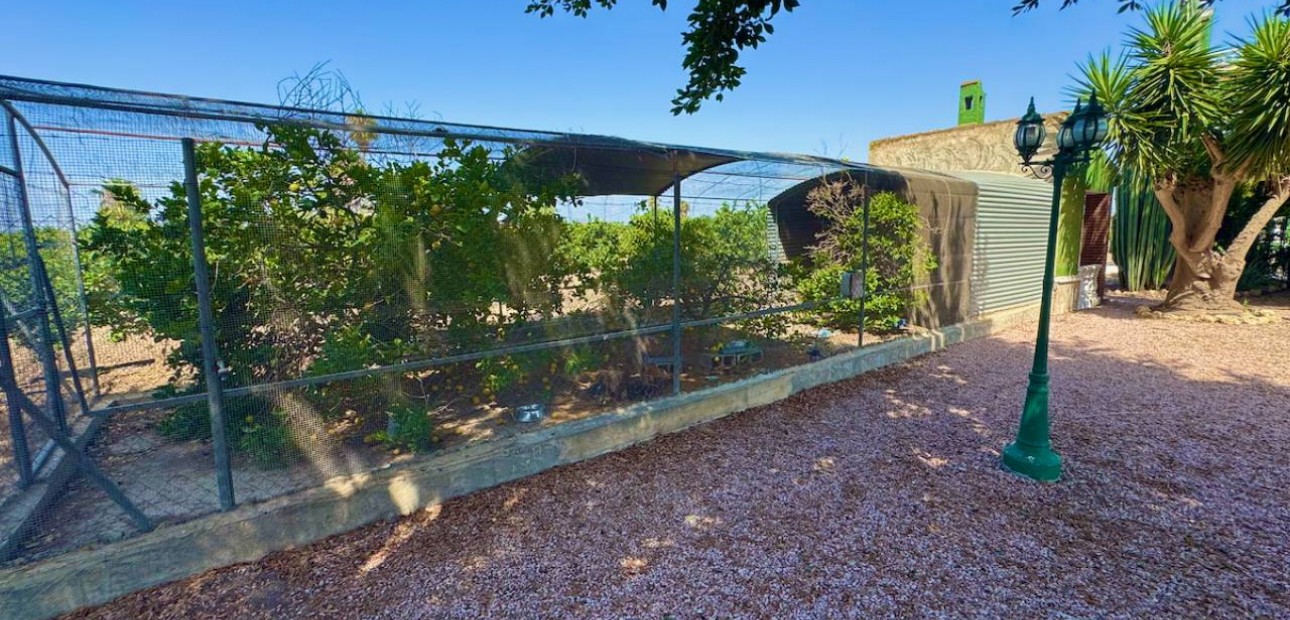 Herverkoop - Finca / Country Property -
Guardamar del Segura - Guardamar