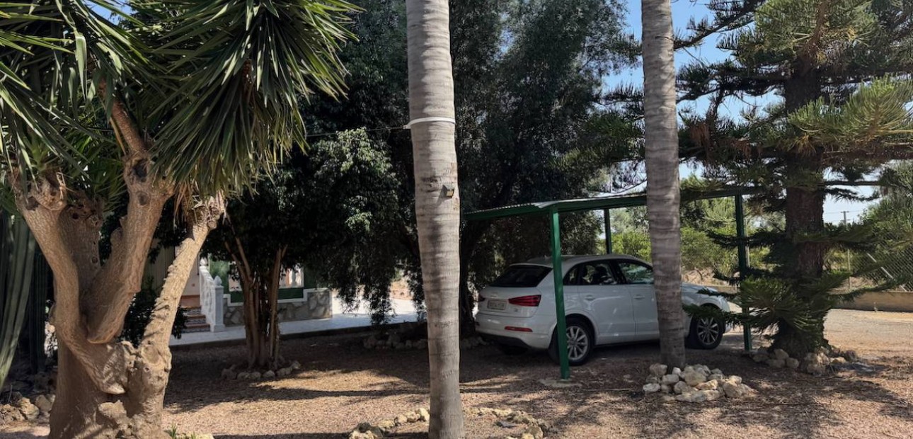 Herverkoop - Finca / Country Property -
Guardamar del Segura - Guardamar