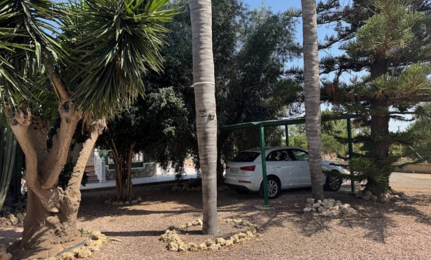 Herverkoop - Finca / Country Property -
Guardamar del Segura - Guardamar