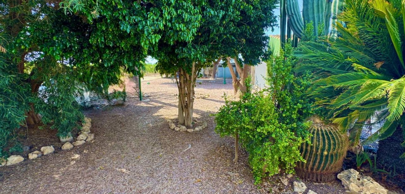 Herverkoop - Finca / Country Property -
Guardamar del Segura - Guardamar
