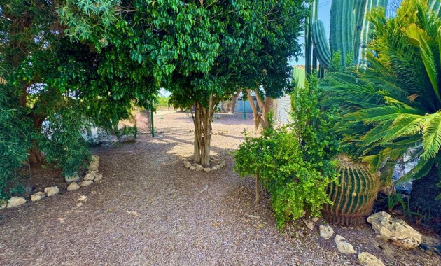 Herverkoop - Finca / Country Property -
Guardamar del Segura - Guardamar