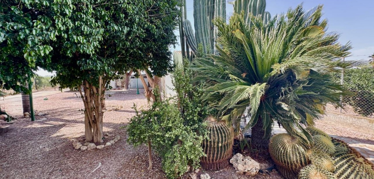 Herverkoop - Finca / Country Property -
Guardamar del Segura - Guardamar