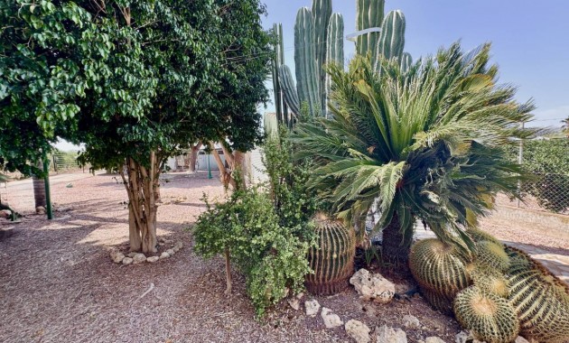Herverkoop - Finca / Country Property -
Guardamar del Segura - Guardamar