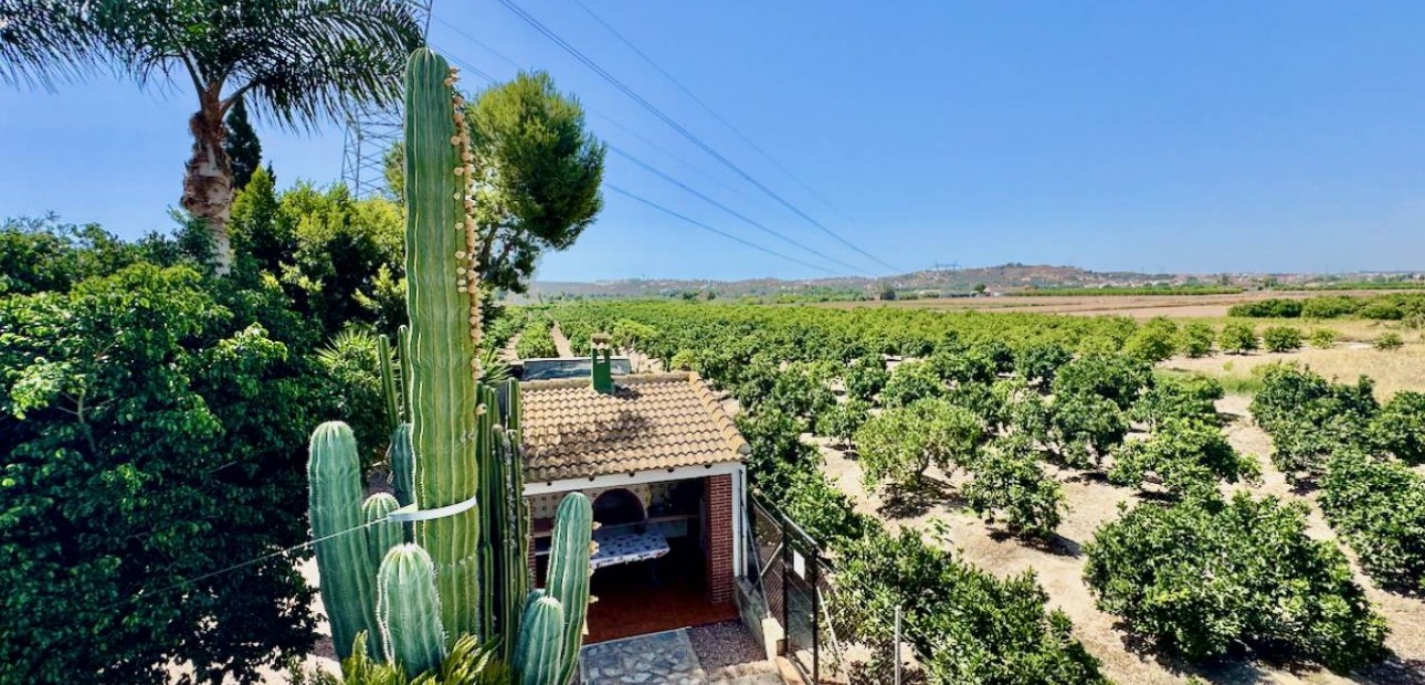 Herverkoop - Finca / Country Property -
Guardamar del Segura - Guardamar