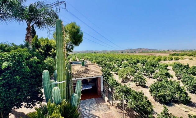 Herverkoop - Finca / Country Property -
Guardamar del Segura - Guardamar