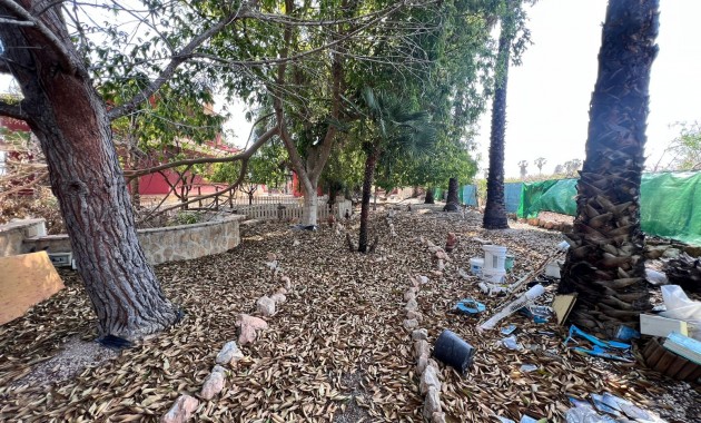Sale - Finca Country Property -
Los Montesinos