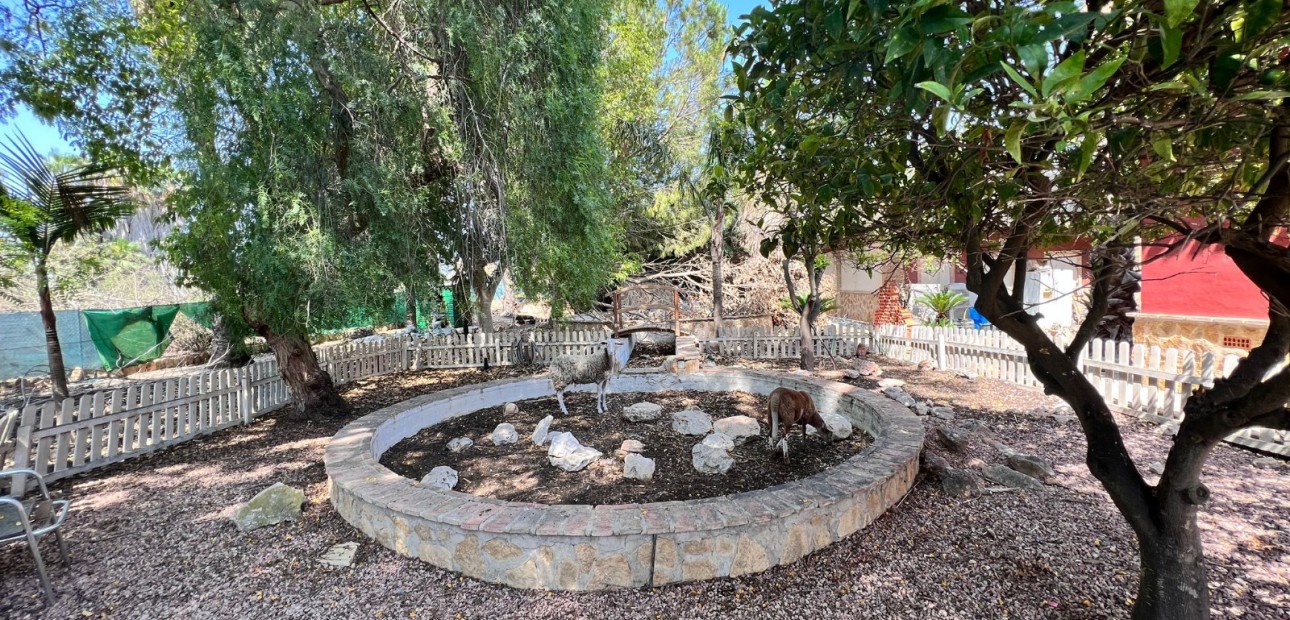 Sale - Finca Country Property -
Los Montesinos