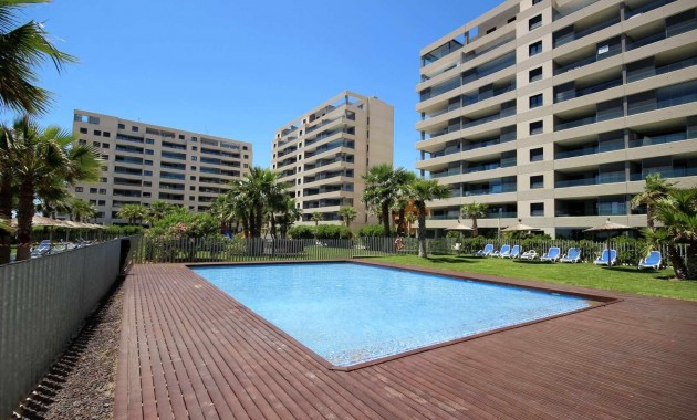 Herverkoop - Appartement / flat -
Torrevieja - Punta prima