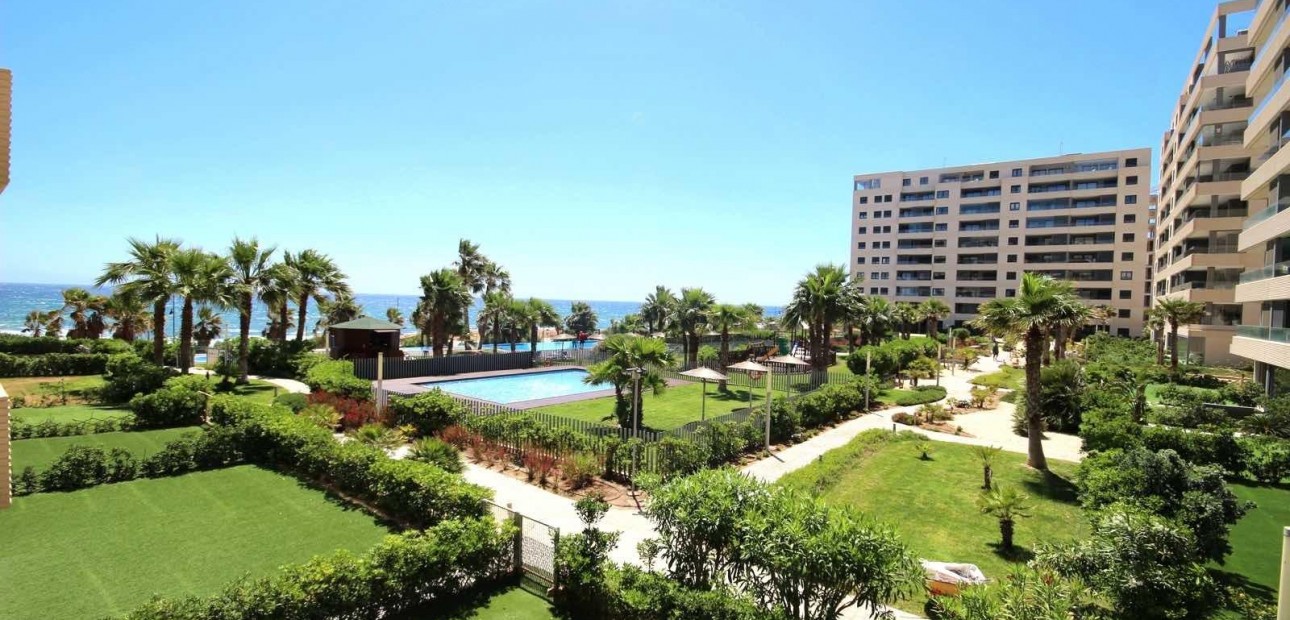 Herverkoop - Appartement / flat -
Torrevieja - Punta prima