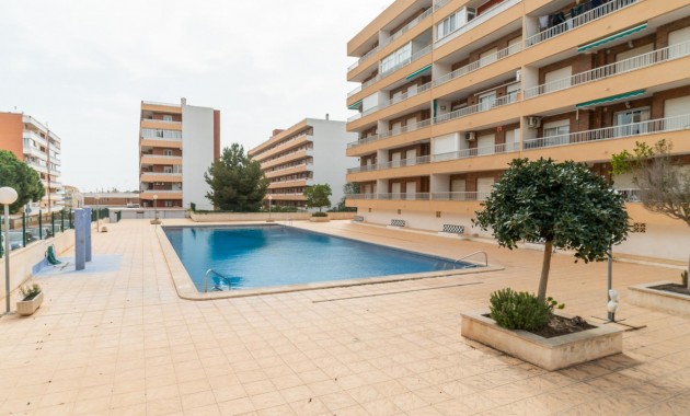 Herverkoop - Appartement / flat -
Torrevieja - torrevieja