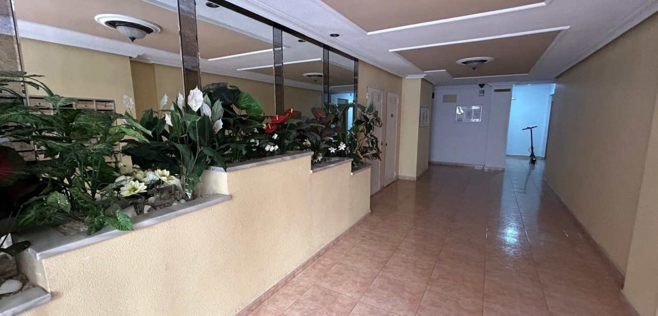 Sale - Penthouse -
Torrevieja - torrevieja