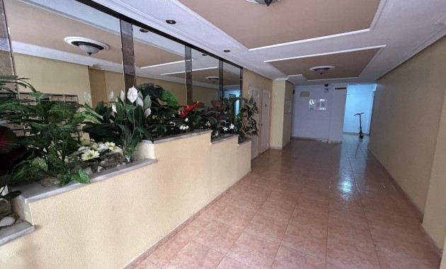 Sale - Penthouse -
Torrevieja - torrevieja