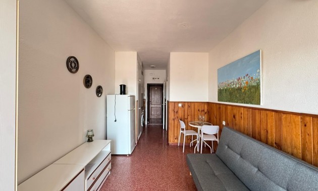 Venta - Studio -
Torrevieja - Centro