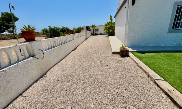 Sale - Finca / Country Property -
Torrellano