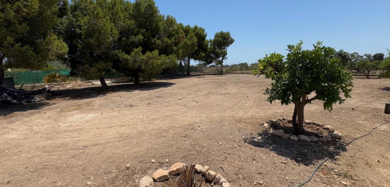 Sale - Finca / Country Property -
Torrellano